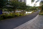 路