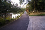 公园大道