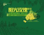 葡萄水果背景板