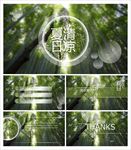 绿色PPT    环保PPT