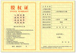 股权证书