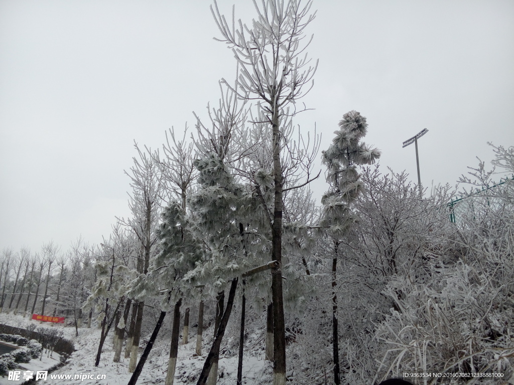 滑雪场