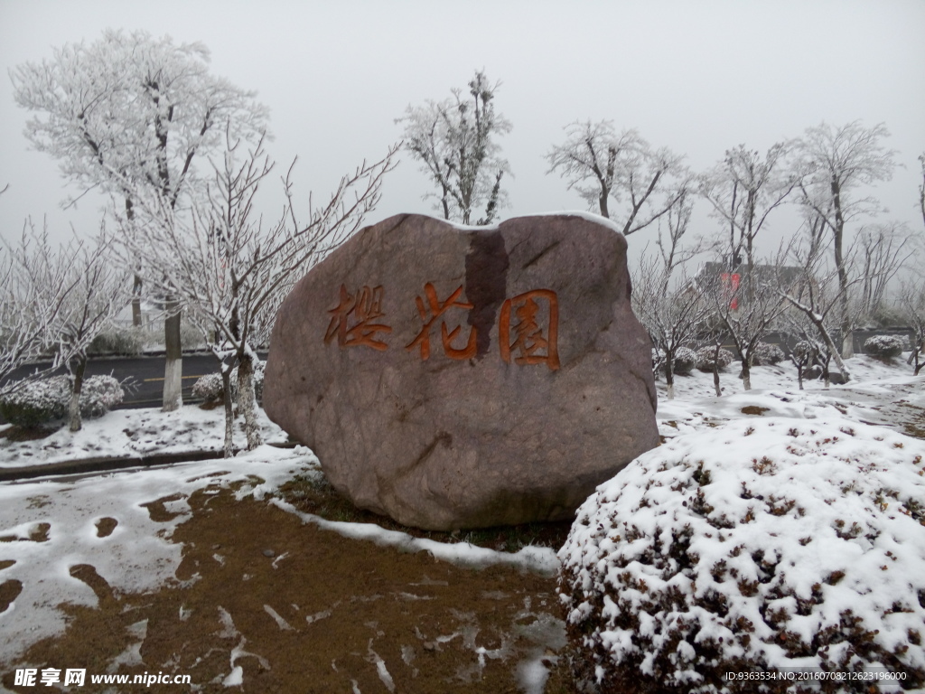 樱花园