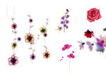 百花图
