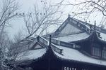 断桥残雪