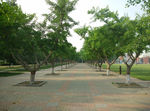 郑州大学