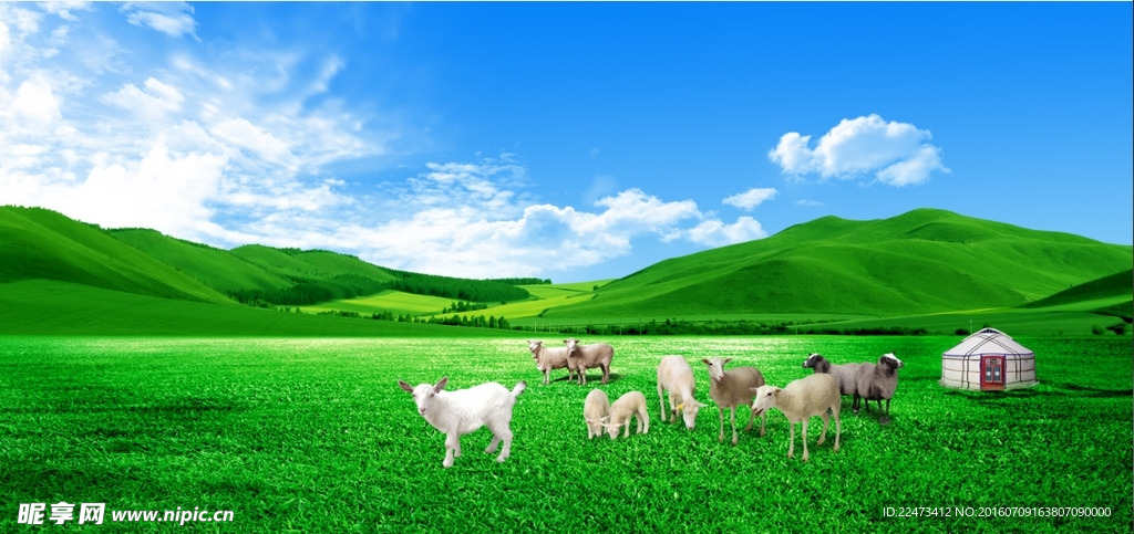 风景