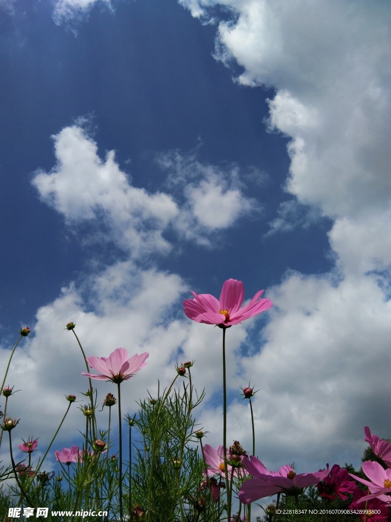 天空