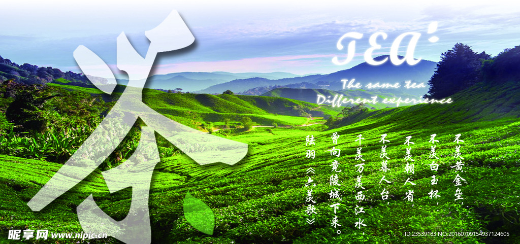 茶产品海报