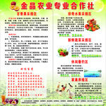 农业专合作社简介