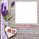 薰衣草 木板 底纹 背景
