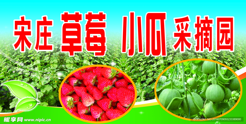 草莓 小瓜采摘园