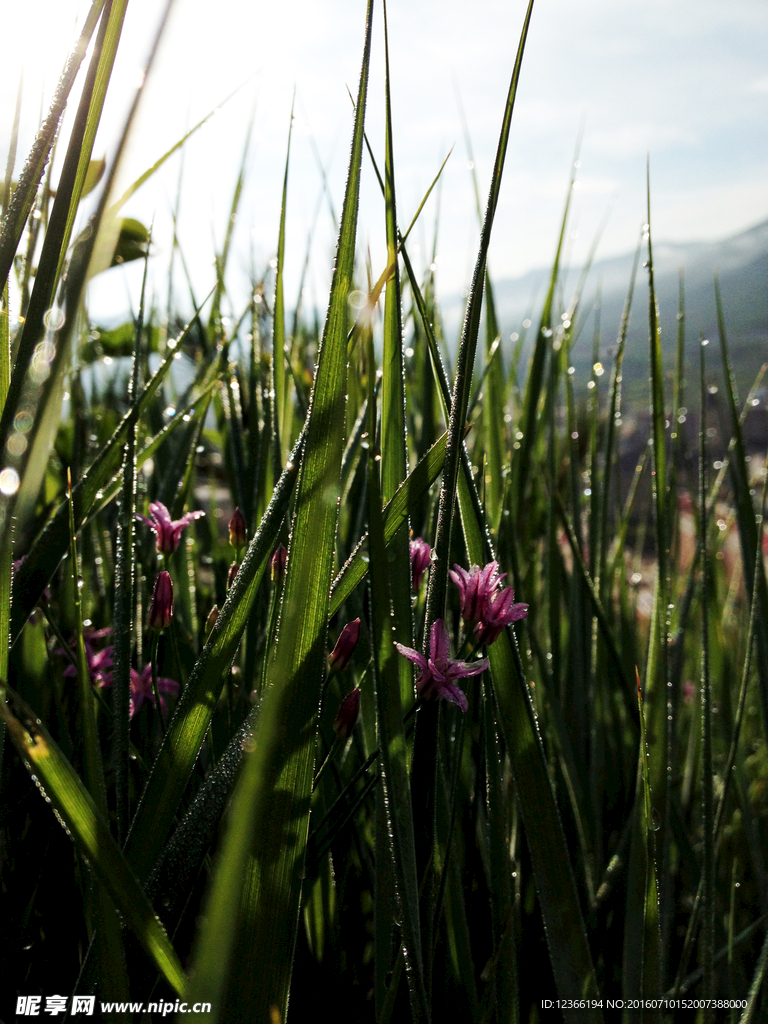 自然风景