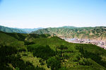 崇礼风景
