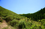 自然风景