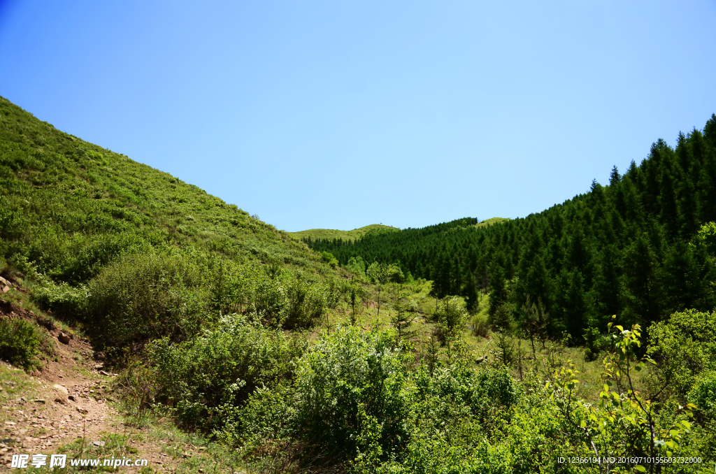 自然风景