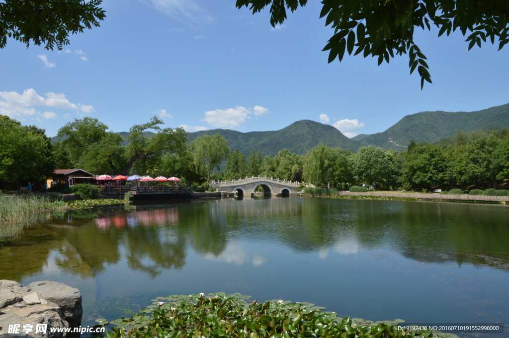 植物园美景