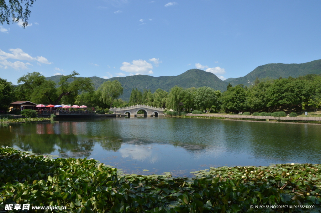 植物园美景