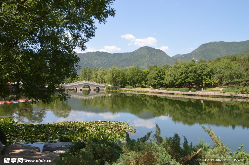 植物园美景