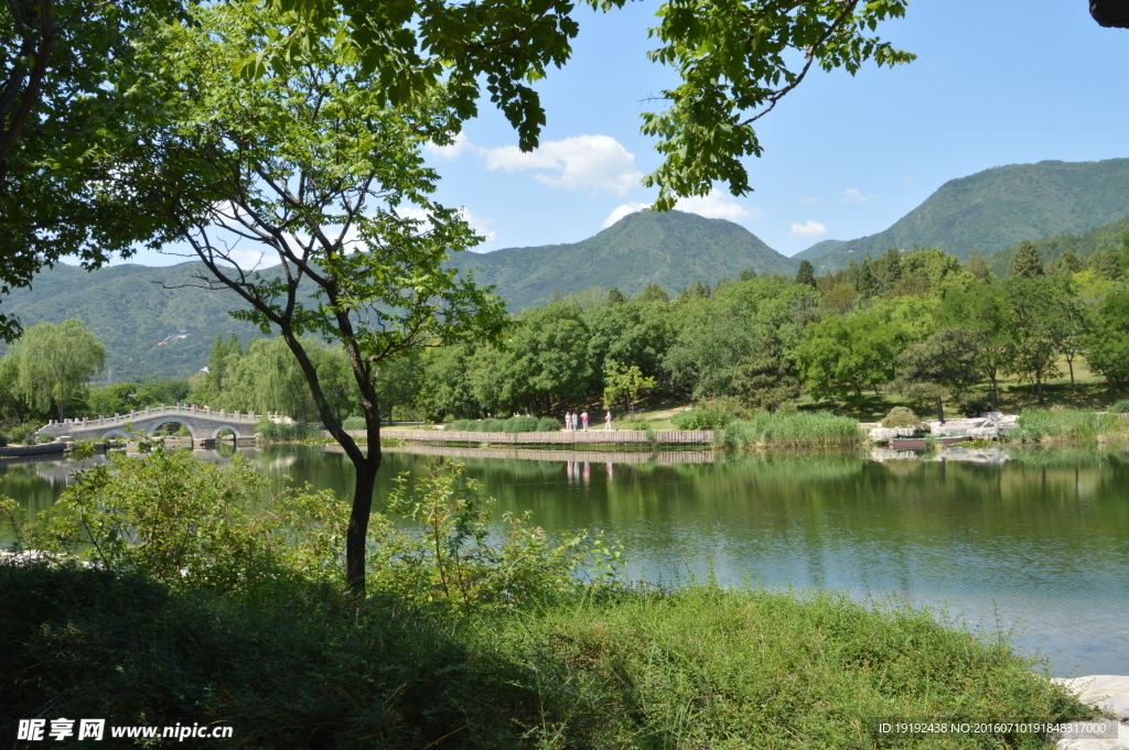 植物园风景