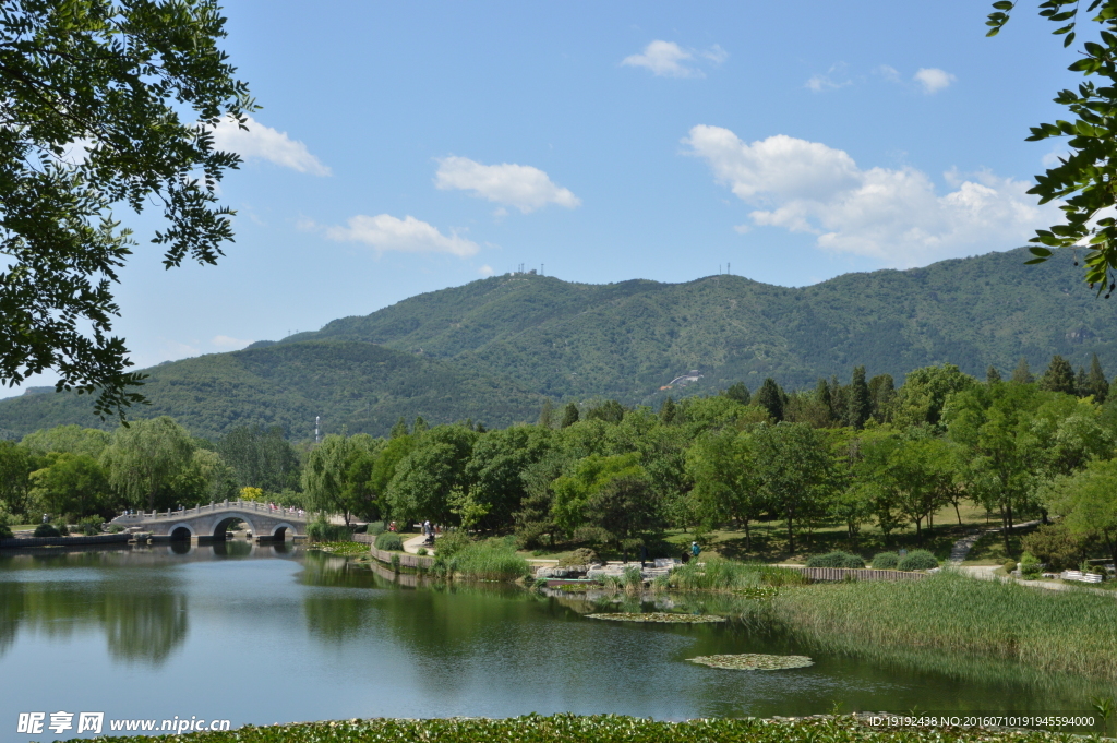 植物园风景