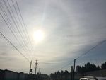 晨光