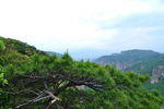 山树风景