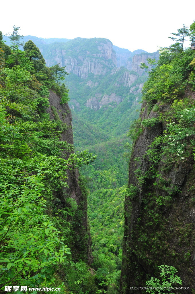 山树风景