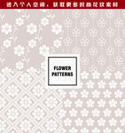 花纹