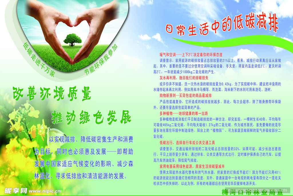 林业局保护环境