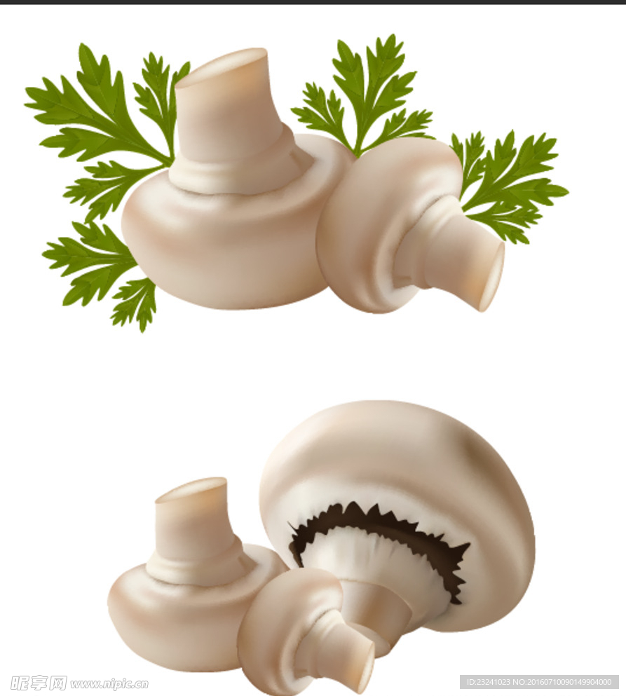 香菇 矢量