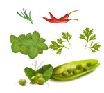 豌豆 辣椒 香菜叶