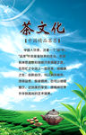 绿茶海报