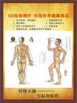 人体经络图
