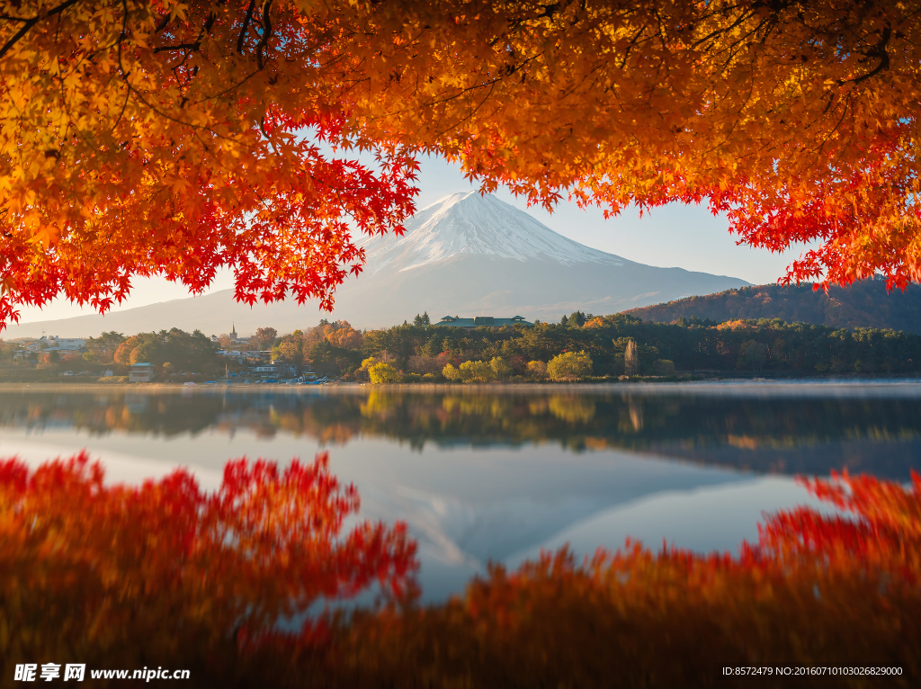 枫叶山水