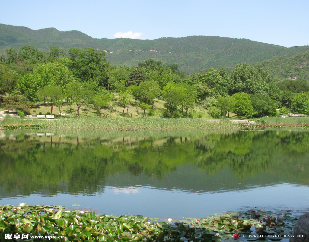 植物园风景