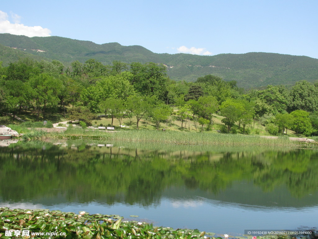 植物园美景