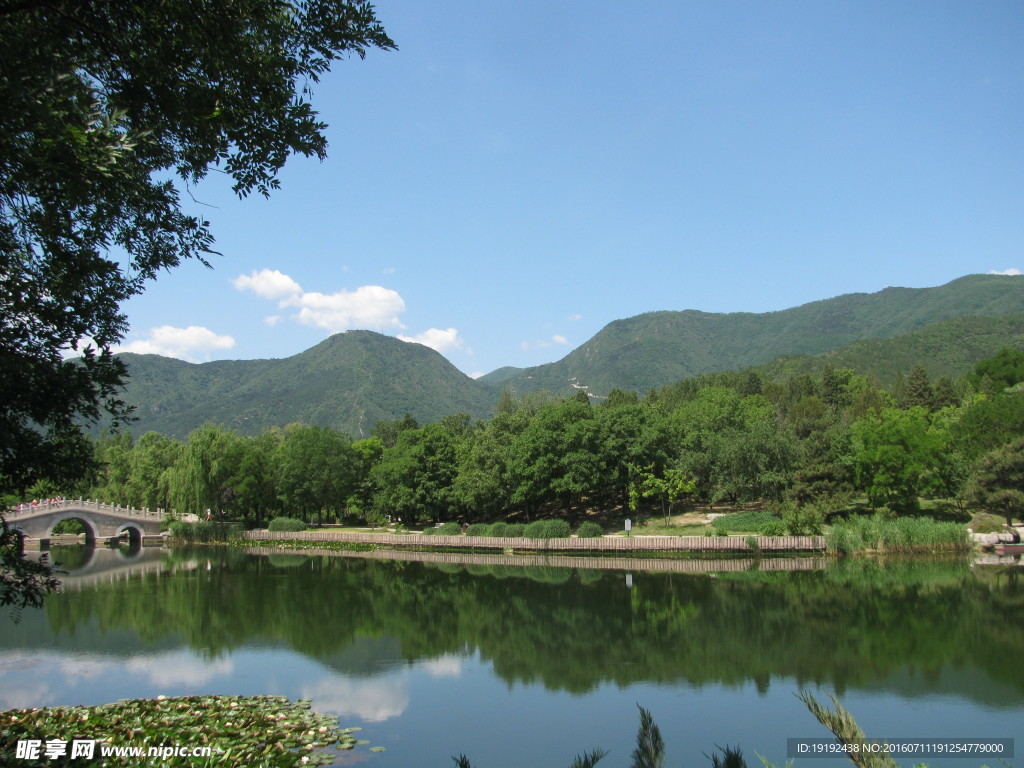 植物园美景