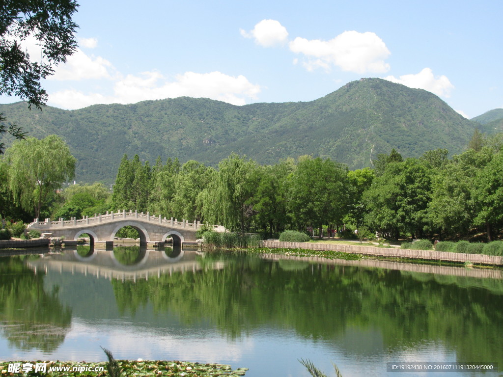 植物园风景