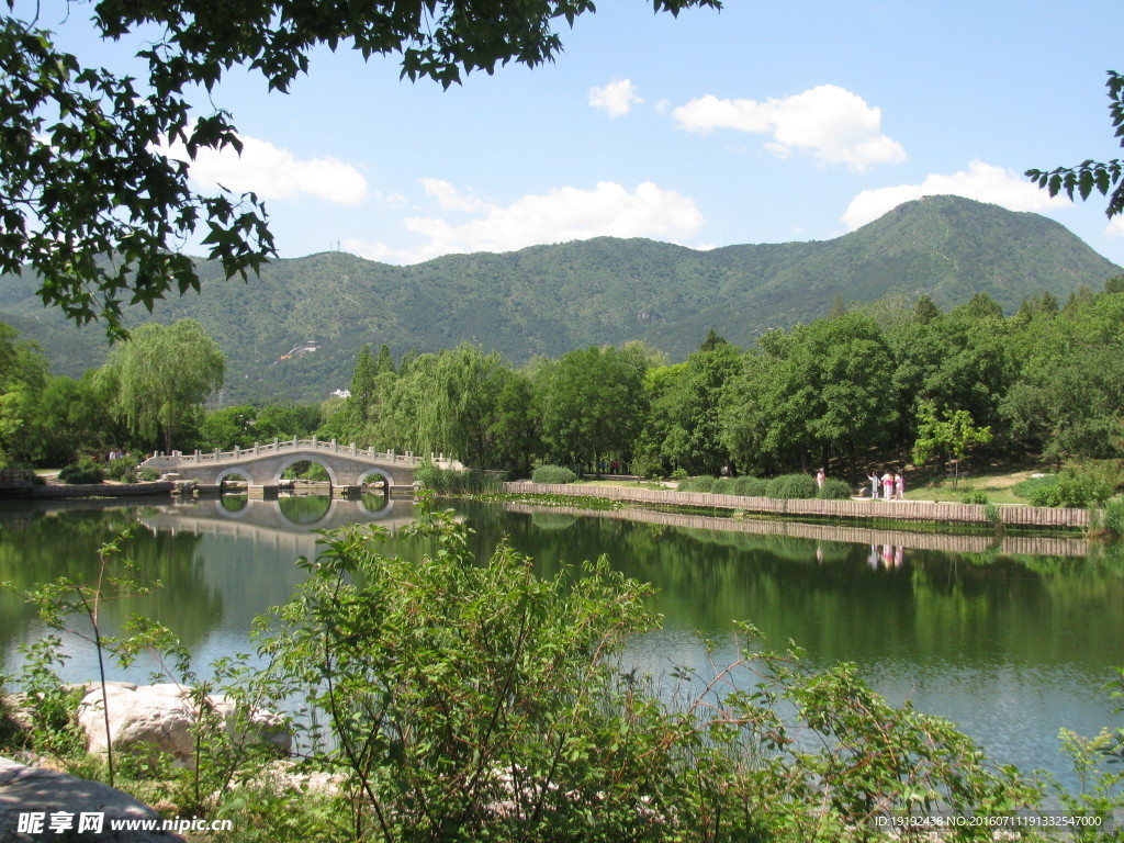 植物园美景