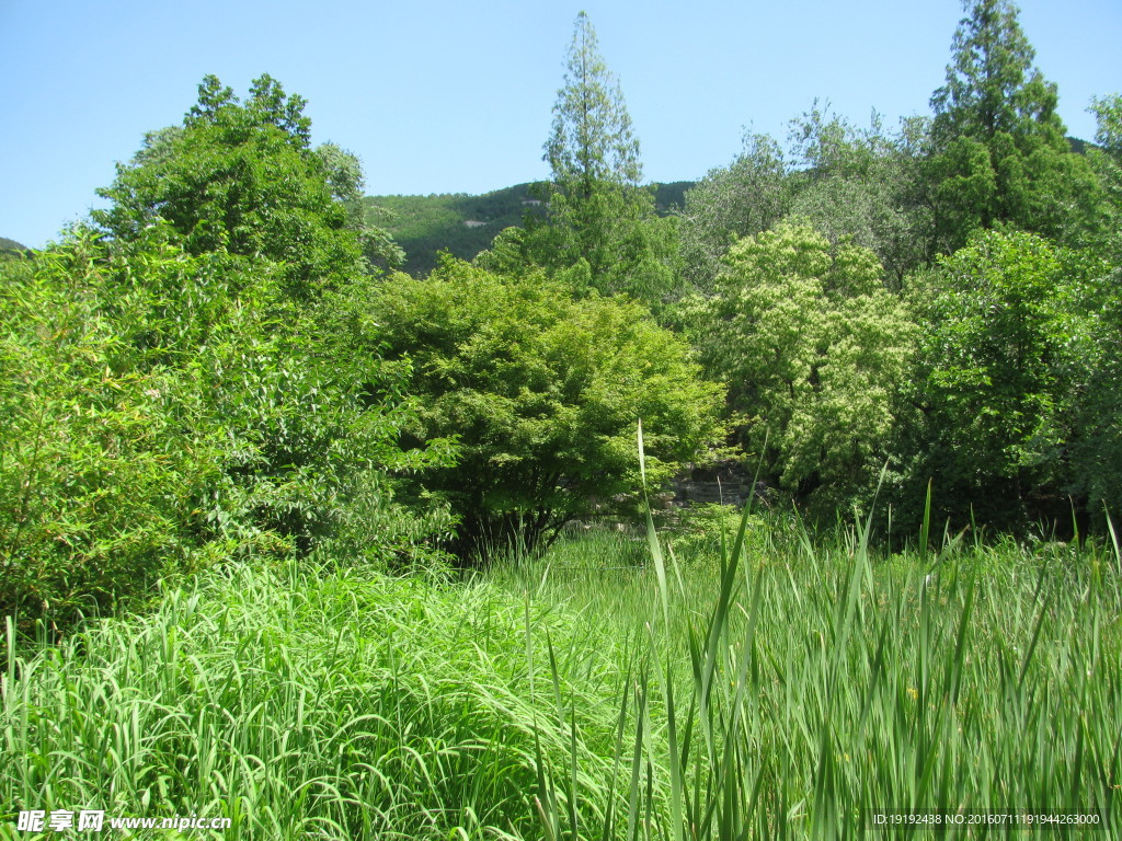 植物园美景