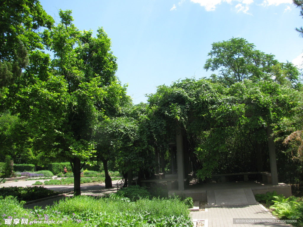 植物园美景