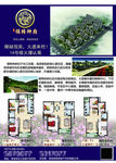 户型单页