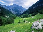 草原山坡绿草地景色