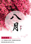 八月清新图片