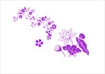 荷花   紫色花    花