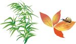竹子 树叶蜗牛