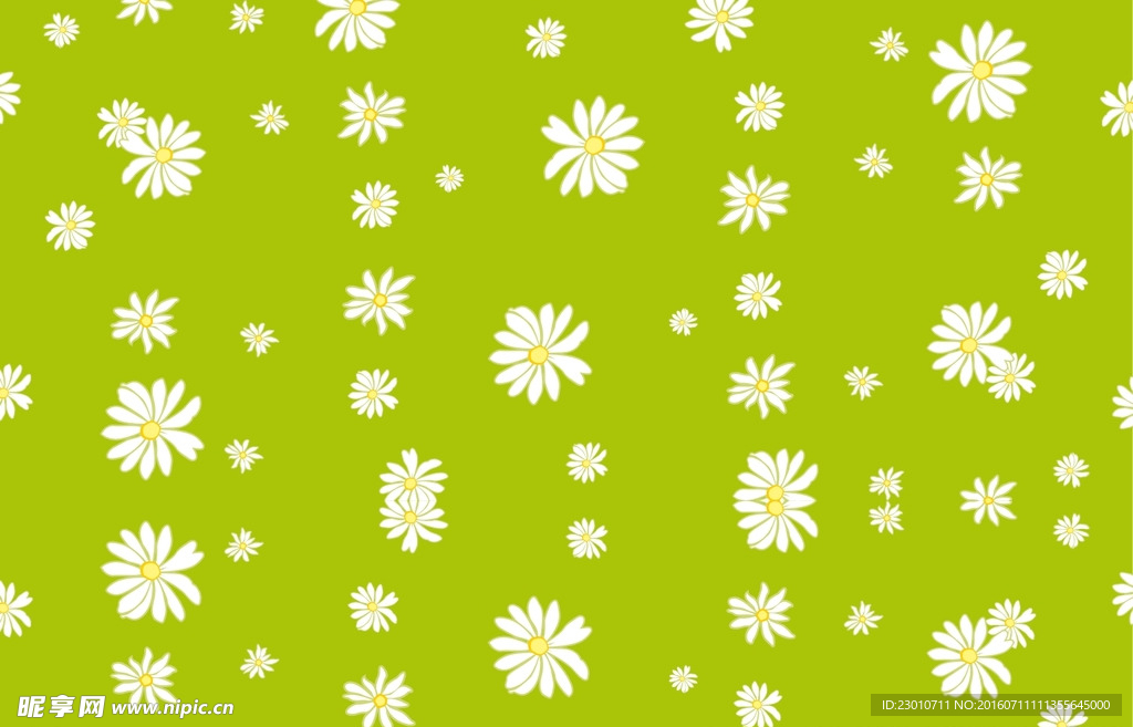 绿色菊花背景 绿色壁纸