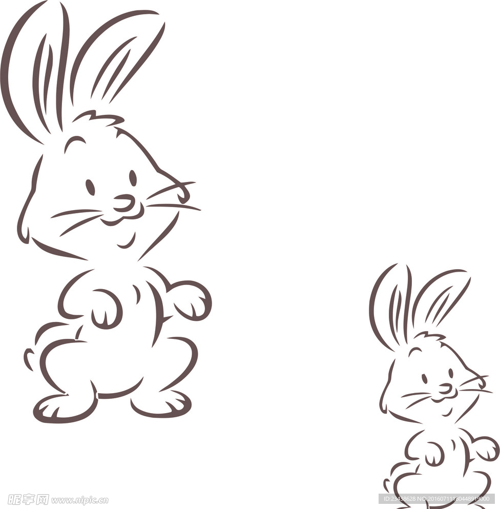 小兔子