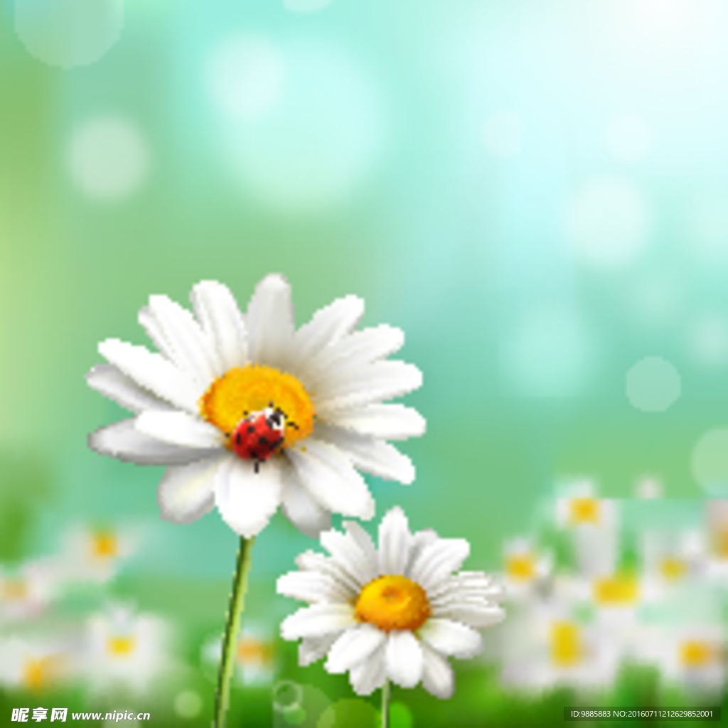 花草